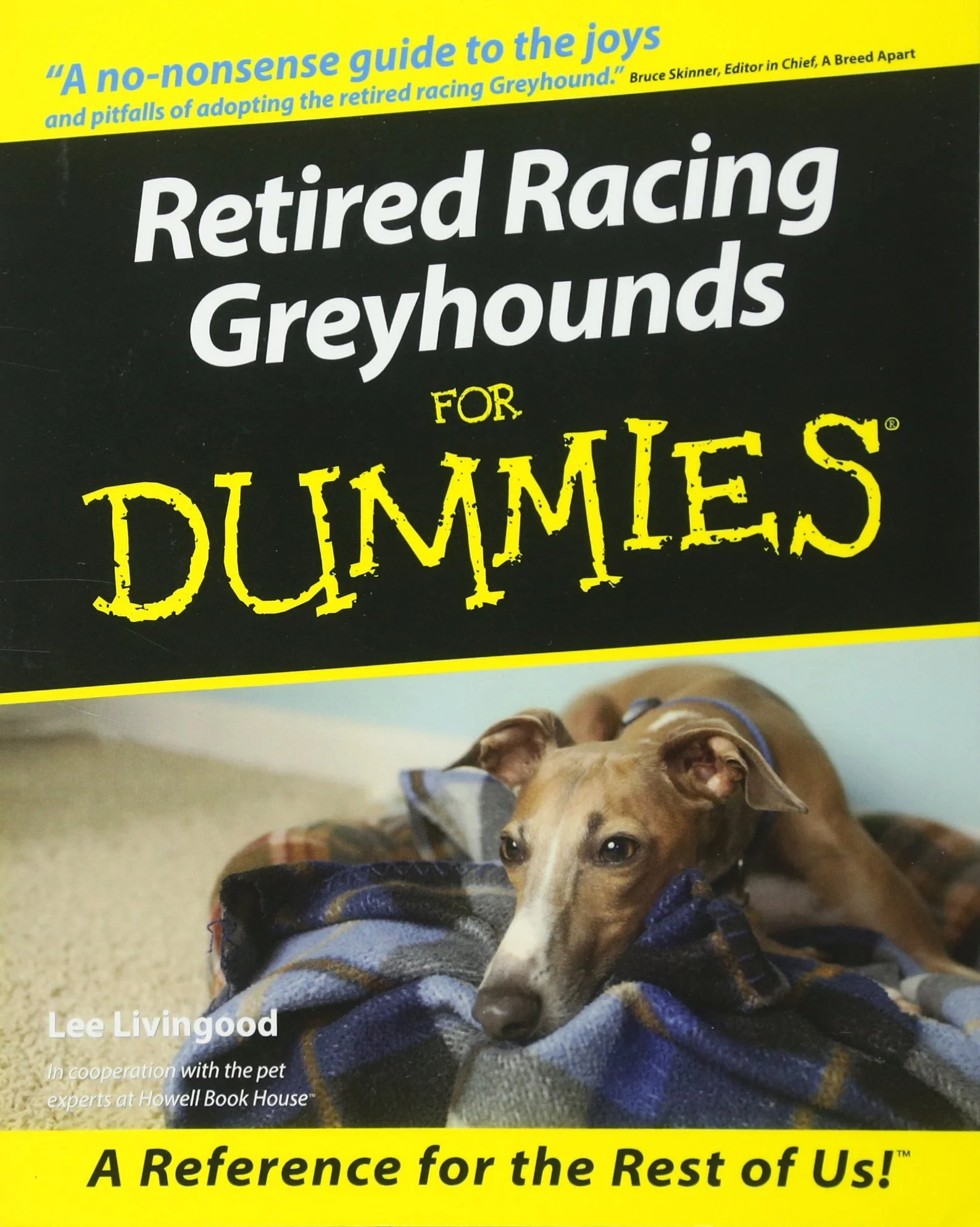 Dummies.jpg