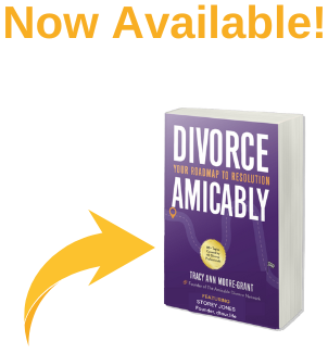 Divorce Amicably Book