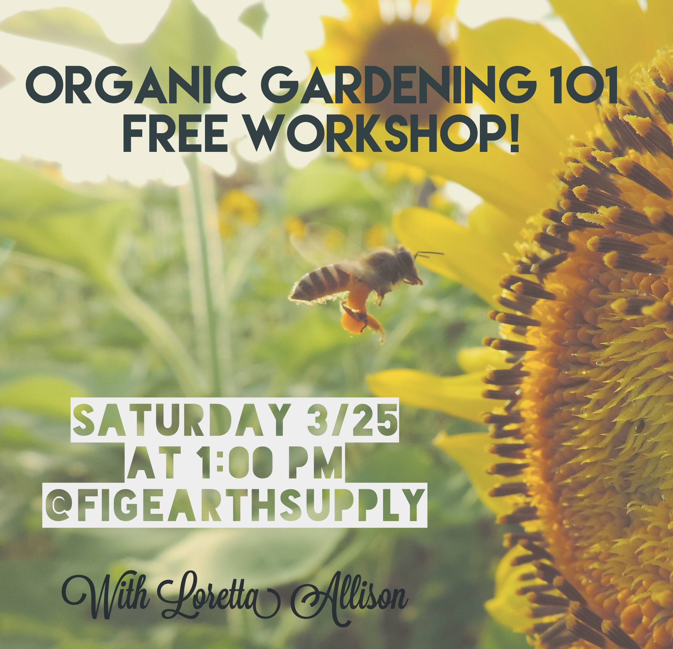 organic-gardening-workshops-los-angeles-california.JPG