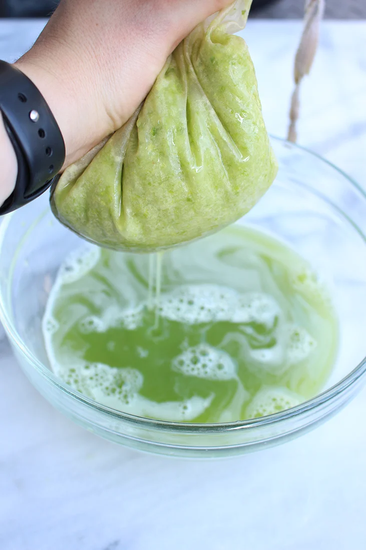 Celery Juice Medical Medium Blend.jpg