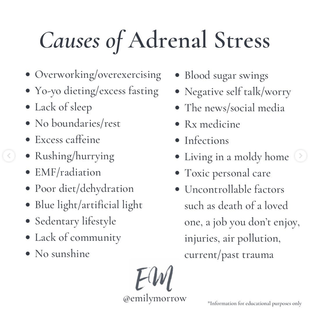 Causes of Adrenal Stress.png