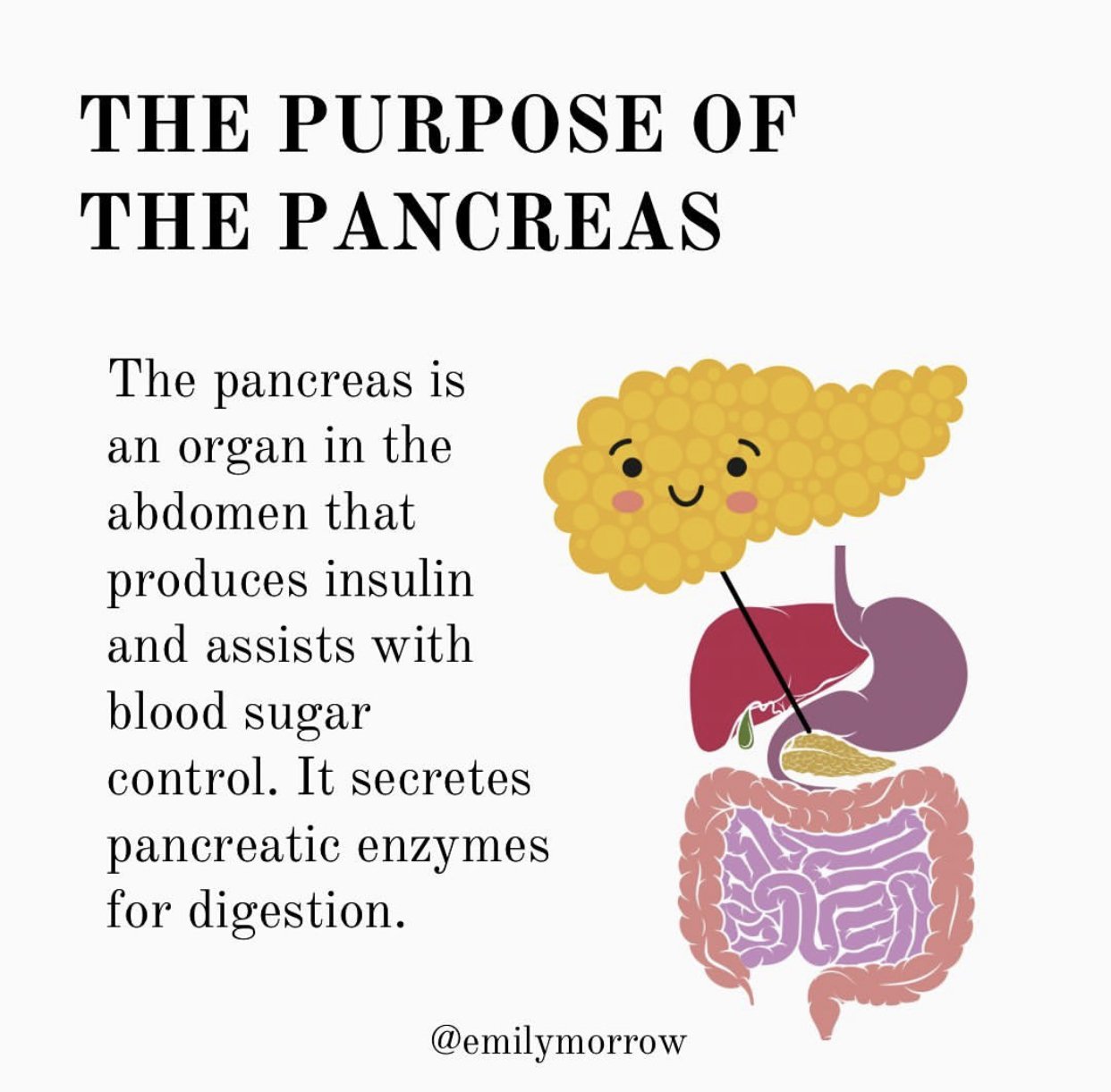 The Pancreas Roles, Signs of Dysfunction & Support