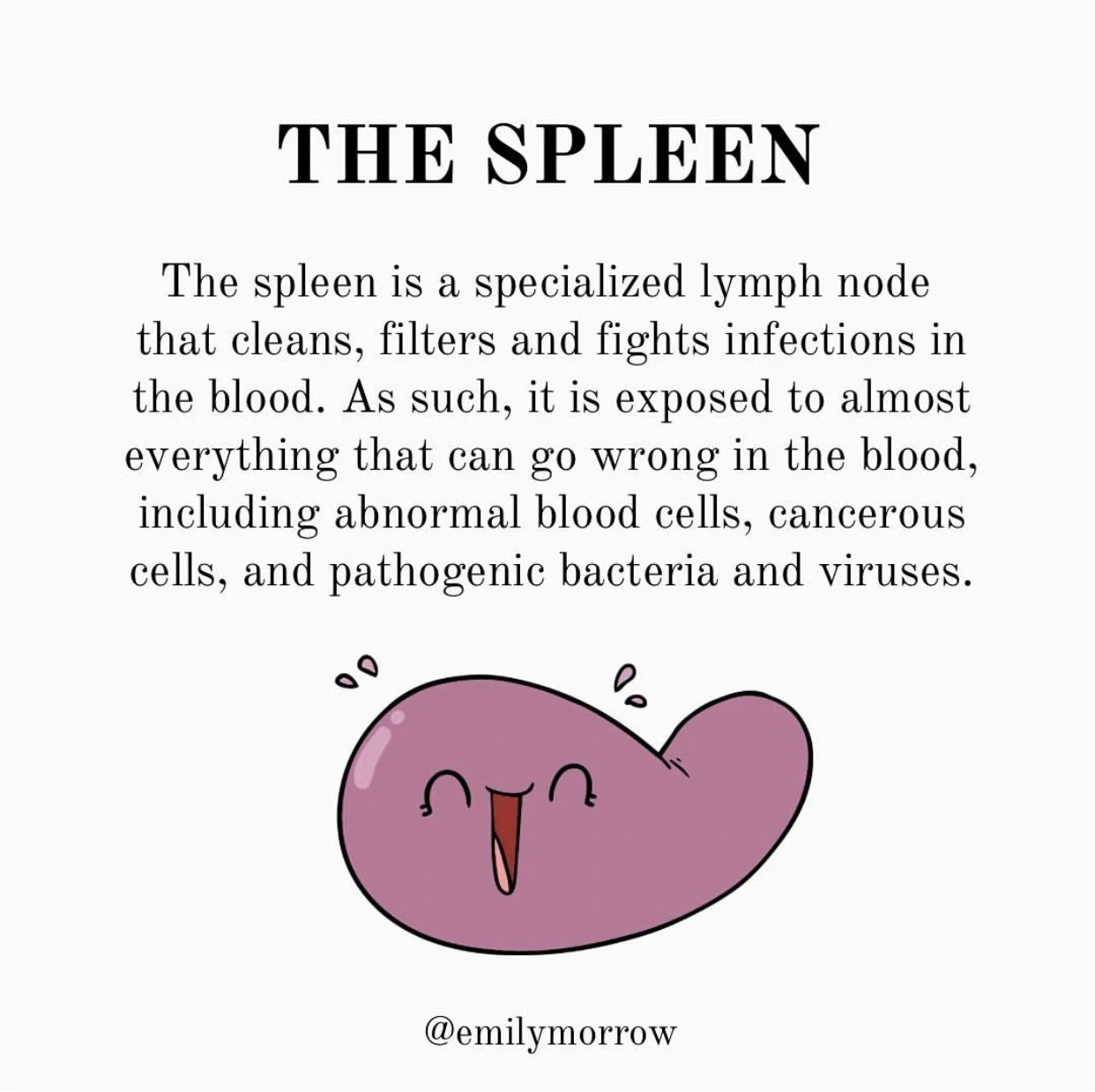 The Spleen Roles, Signs of Dysfunction & Support