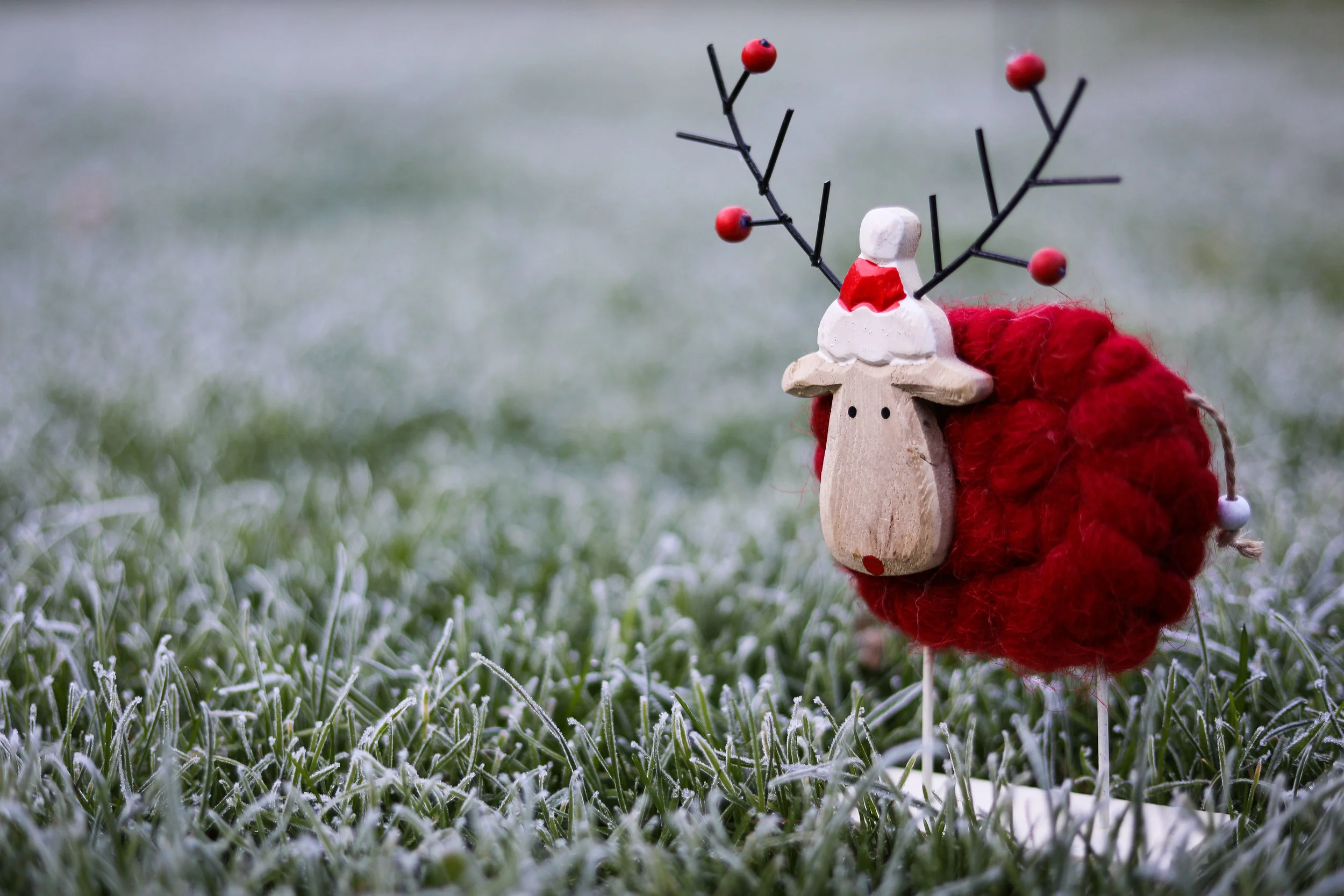 Christmas Decs-3.jpg