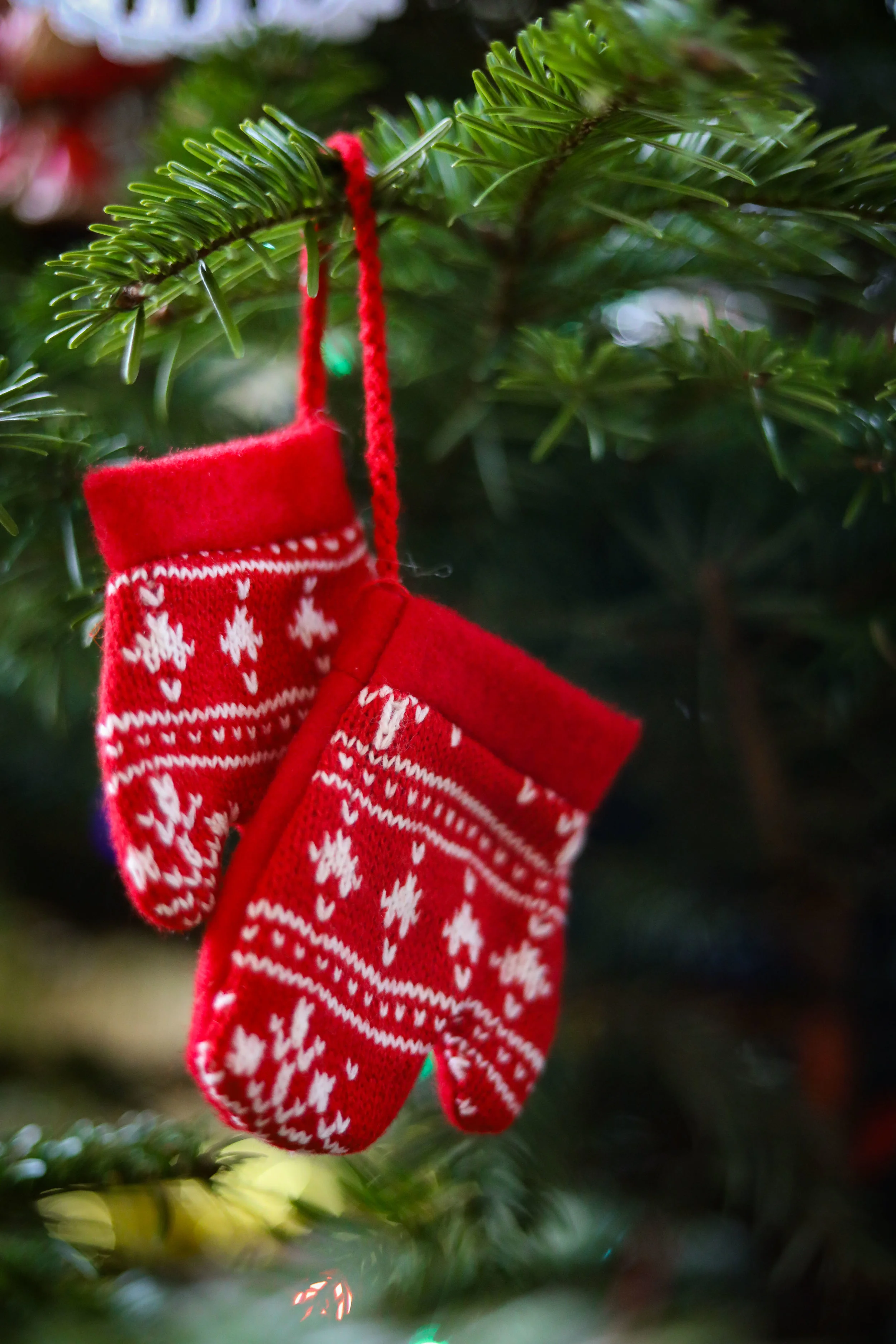 Christmas Decs-21.jpg