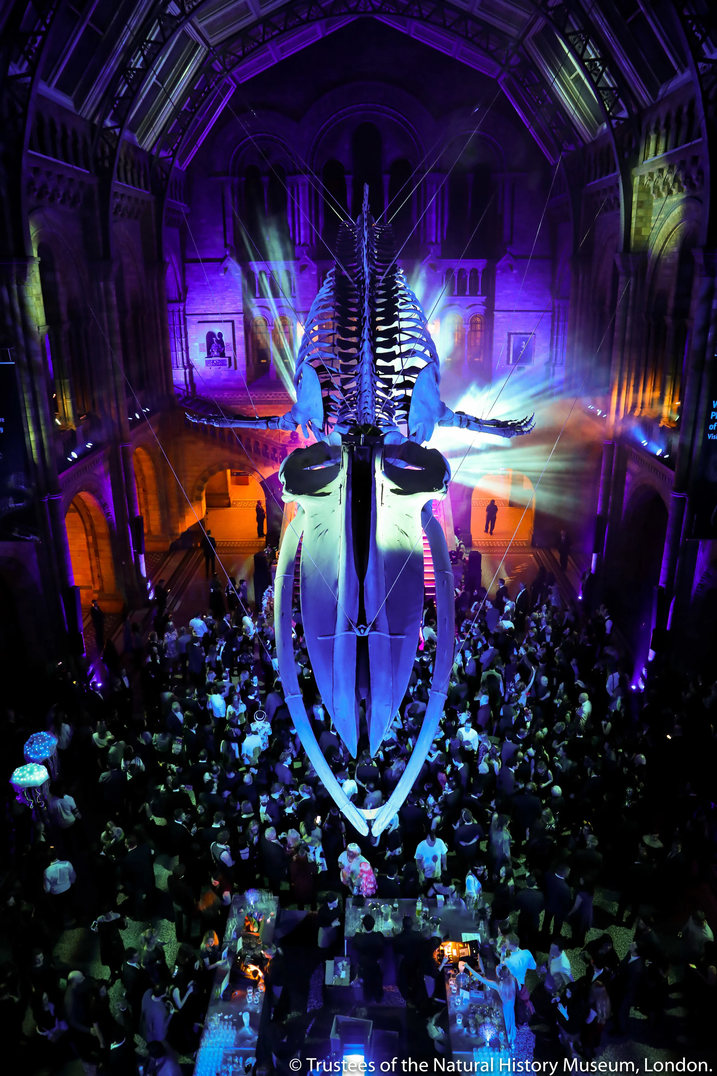 NHM NYE-7.jpg