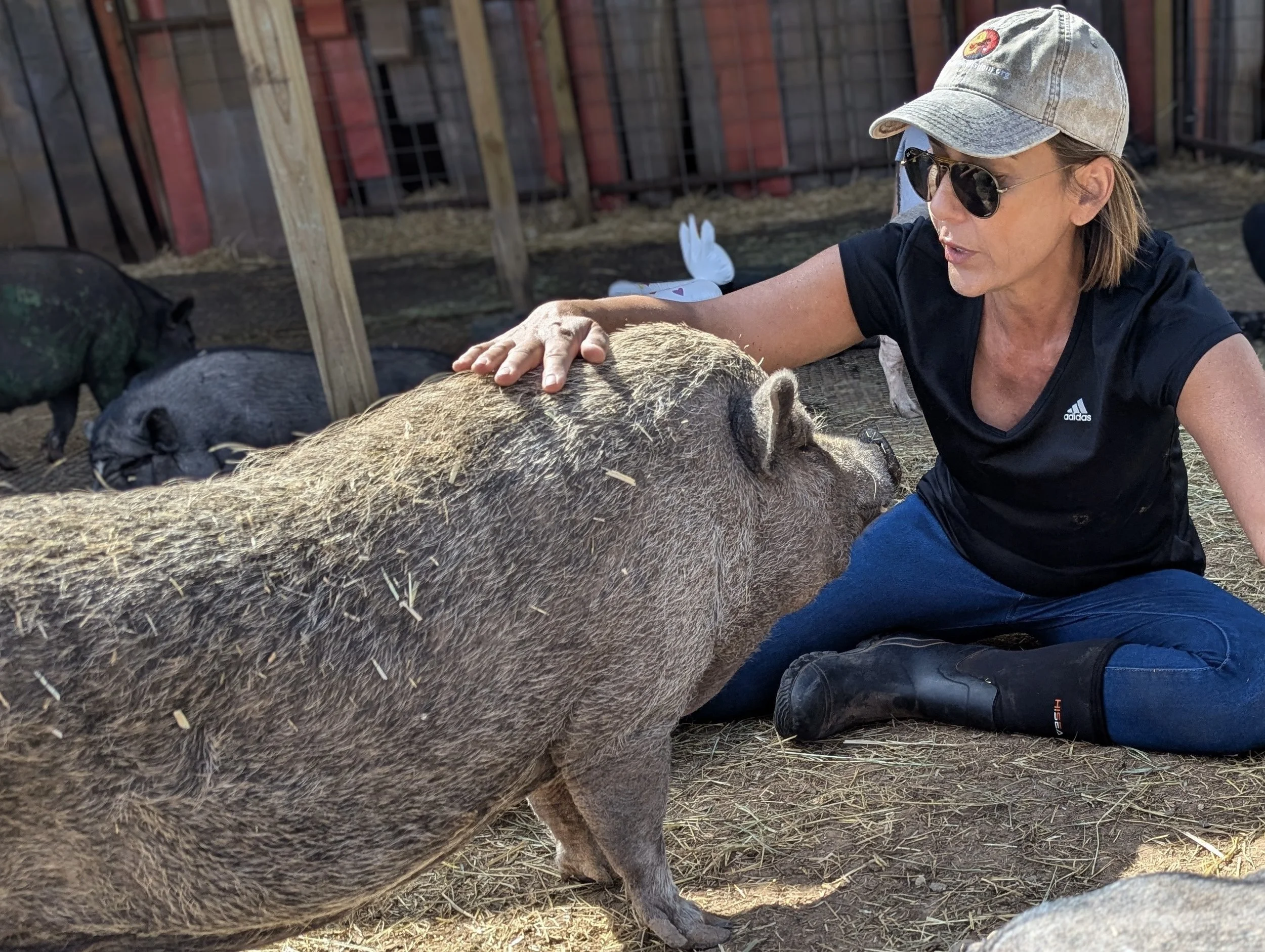 roots sancturary 2.jpeg