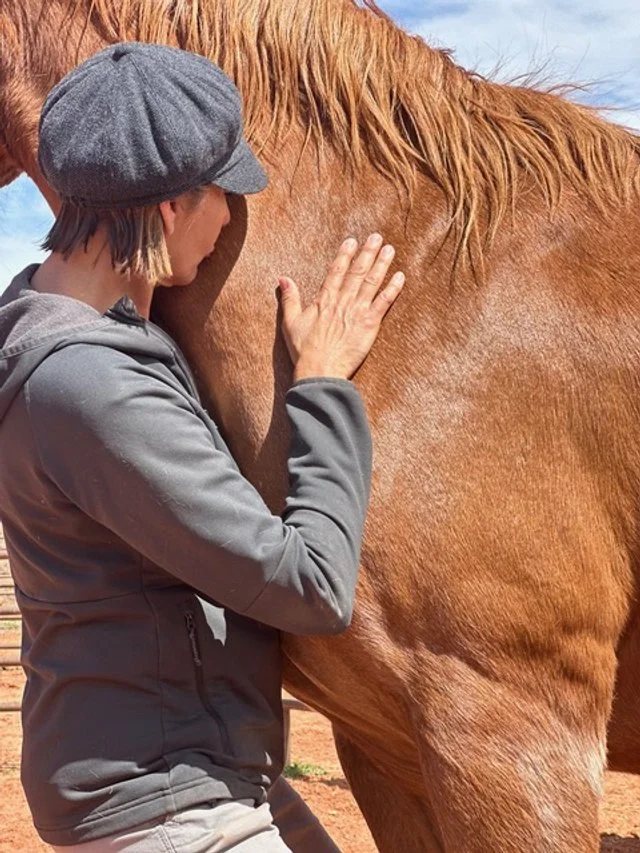 horsereiki.jpeg
