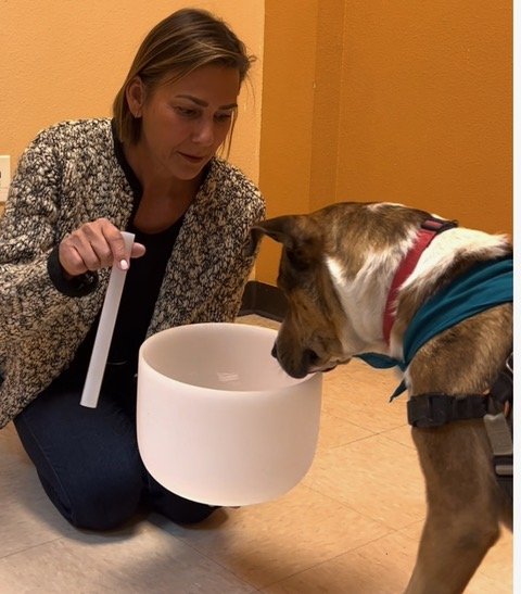 Image 1-28-26 at 11.18.jpeg