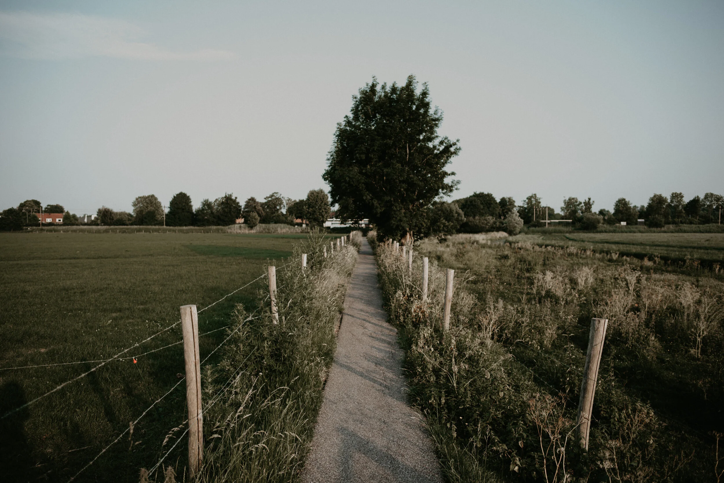 51-north-photography--1-2.jpg