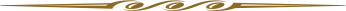 AP divider squiggle1.png