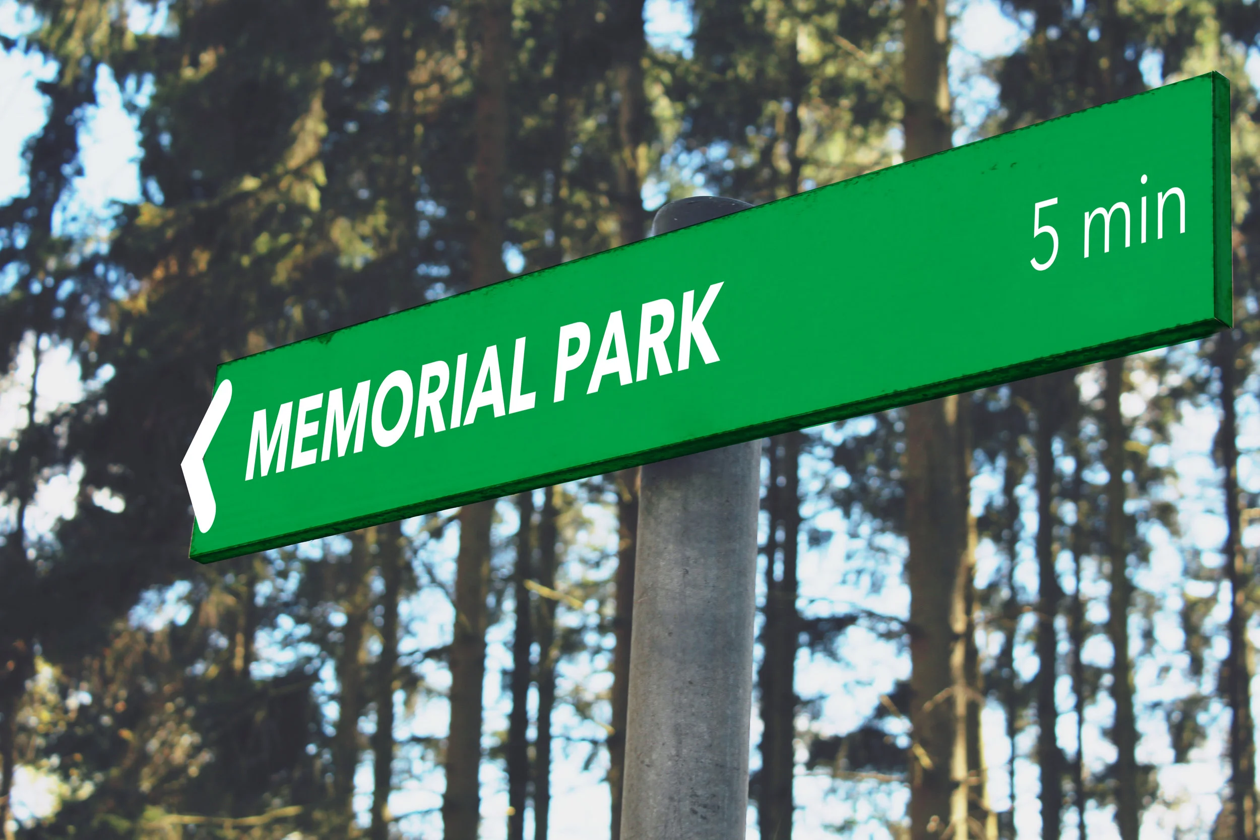 NewKen_ParkSign_Directional_Concept1.jpg