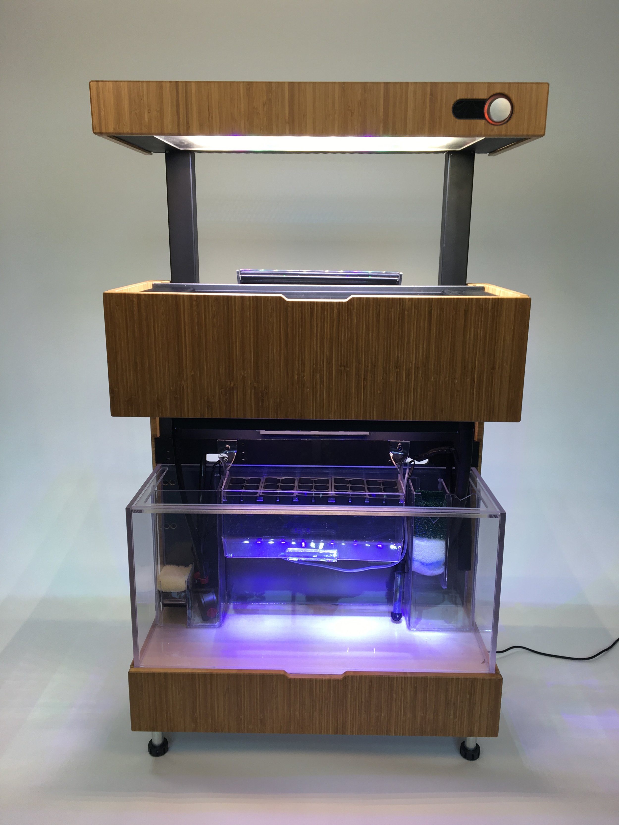 Grove Ecosystem Prototype