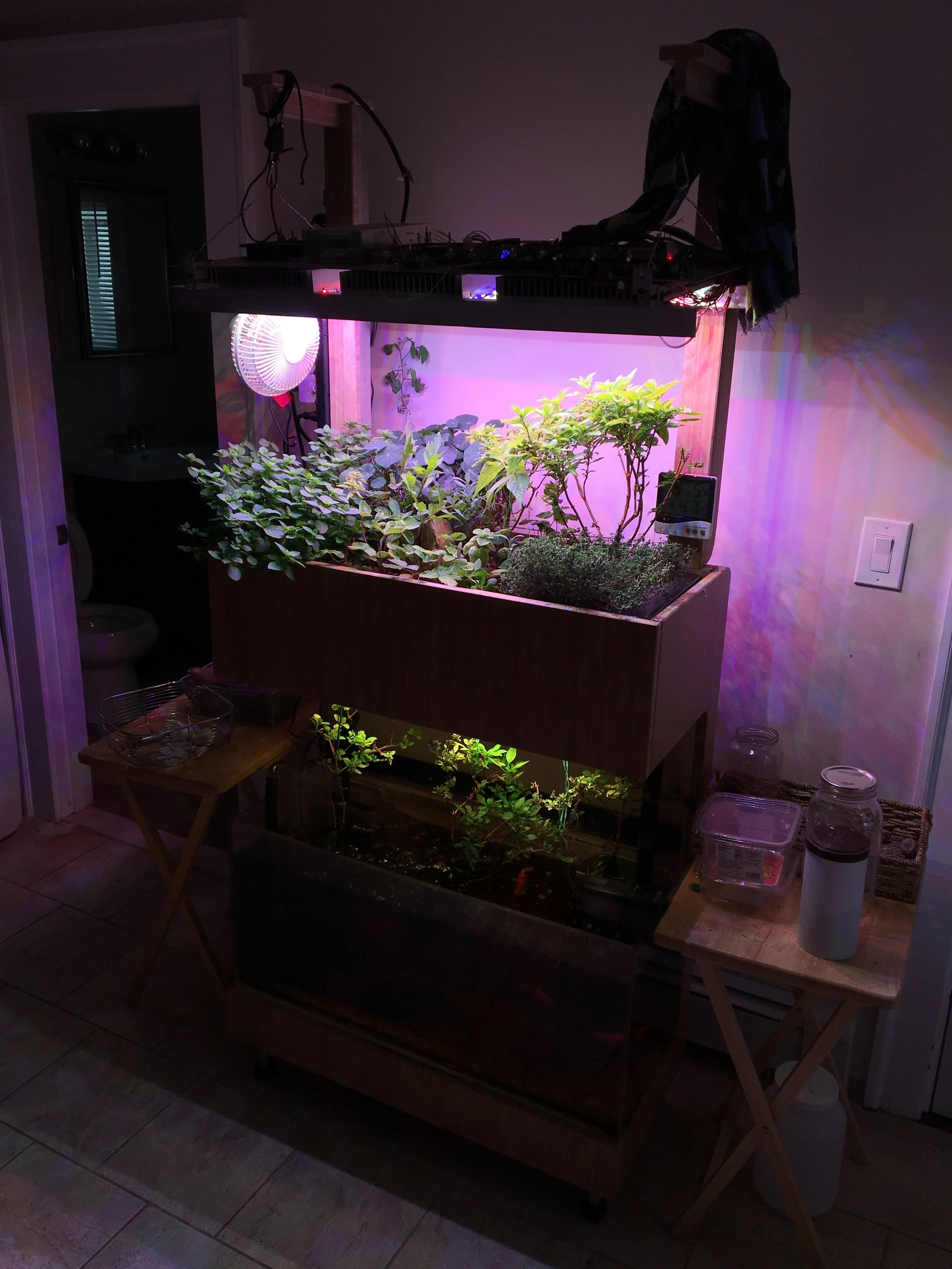 First prototype of Grove Ecosystem Kickstarter revision