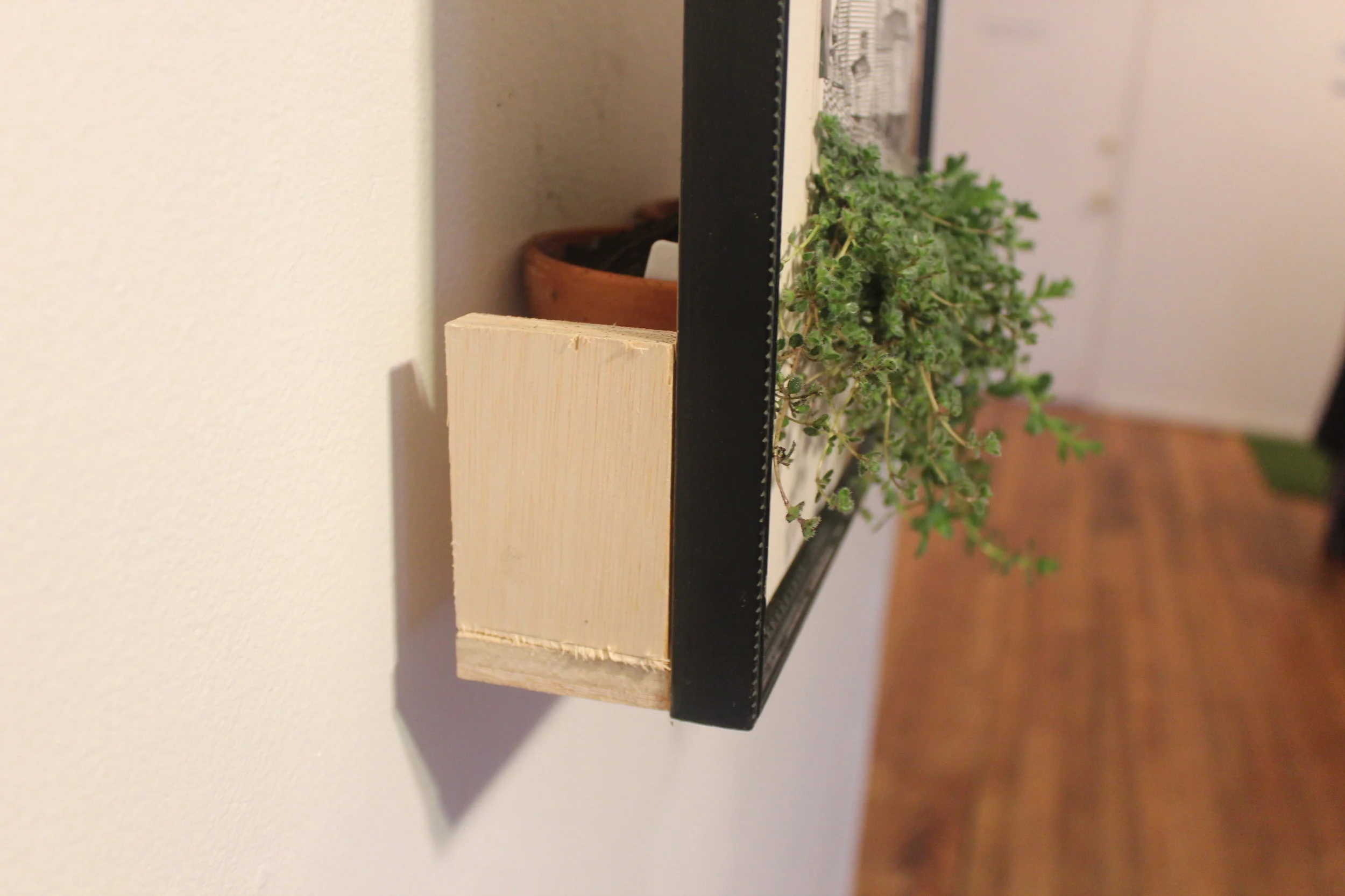  Back view of the “ Church of Transfiguration”  