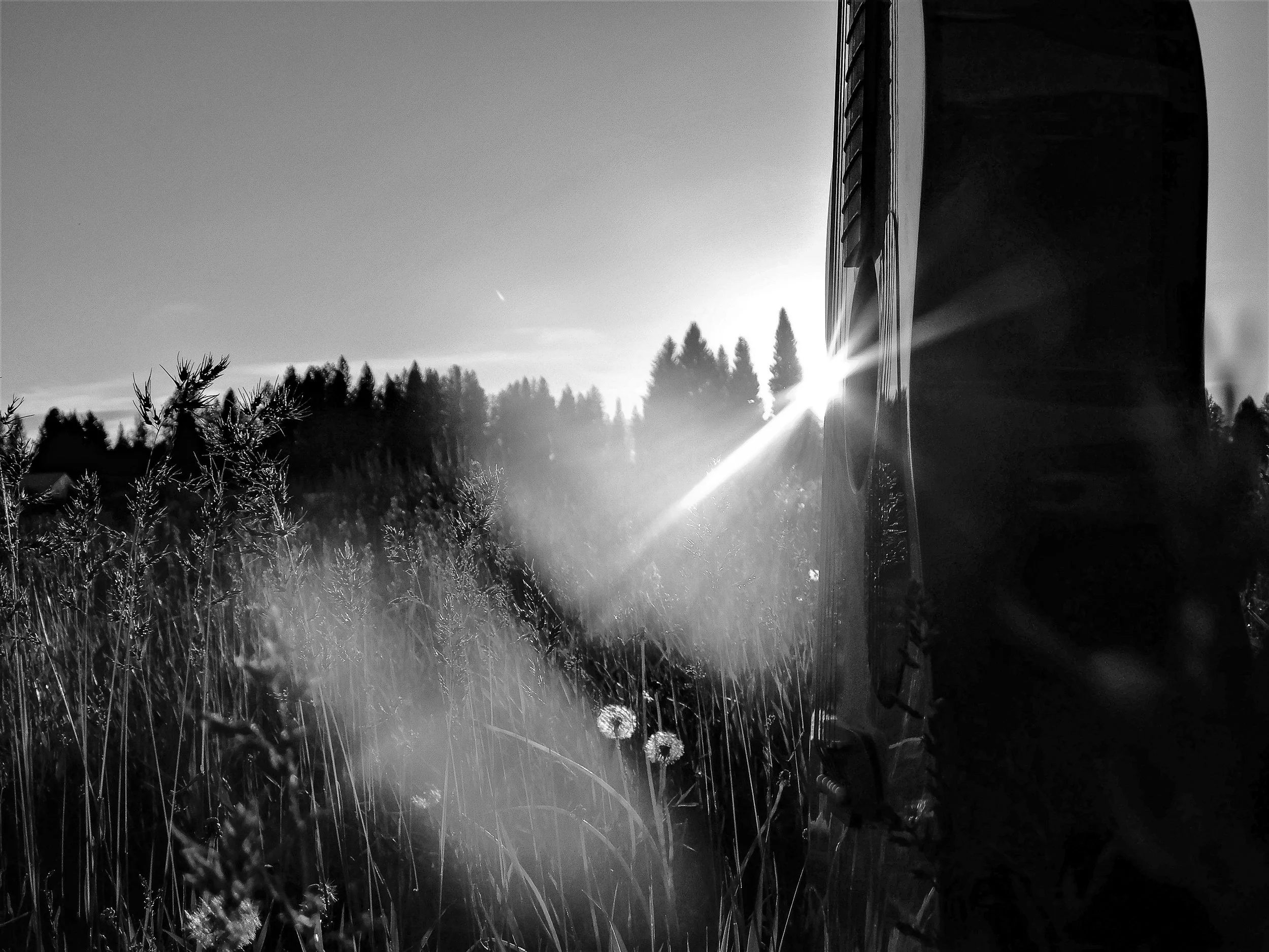 Sunset Melodies | photography