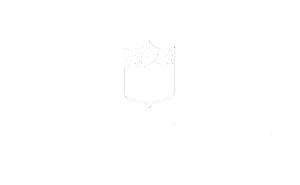 NFL Network White.png