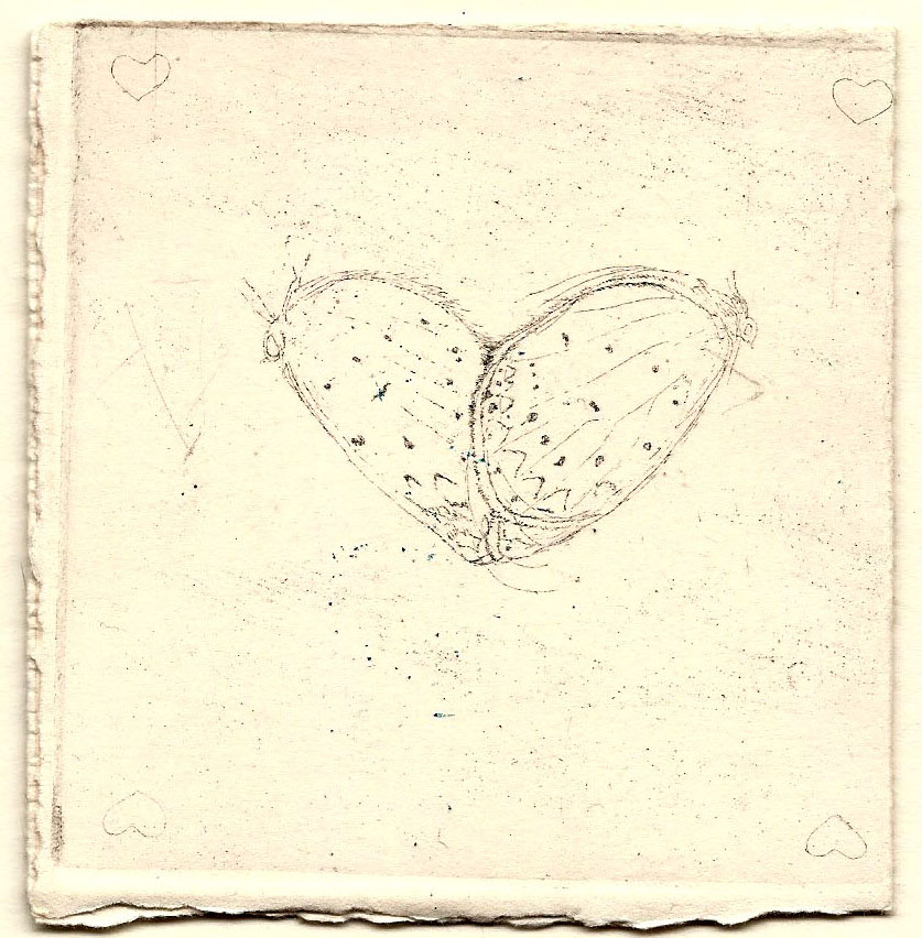 Adonis blue - 10 cm x 10 cm
