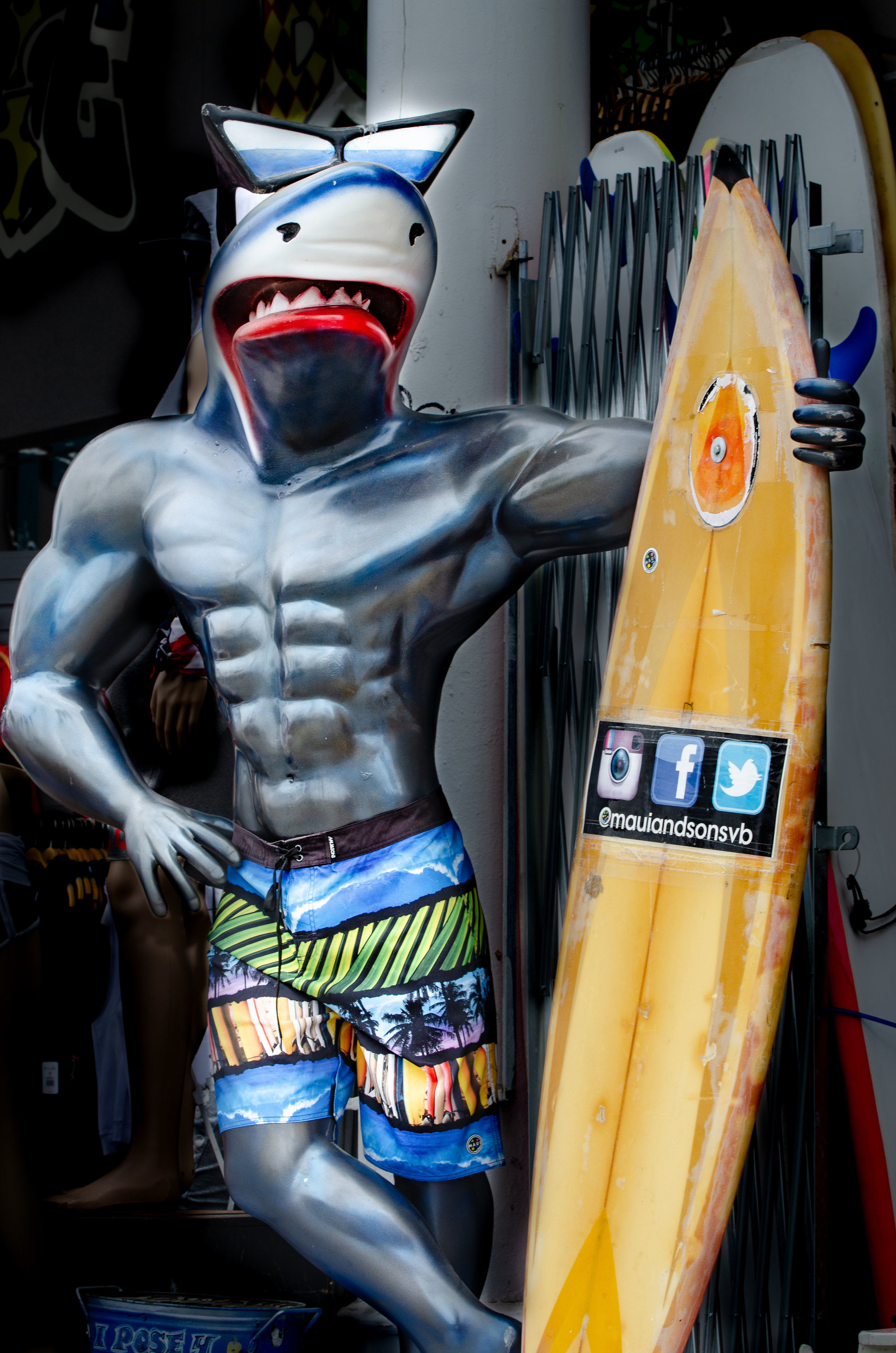 surfing shark.jpg