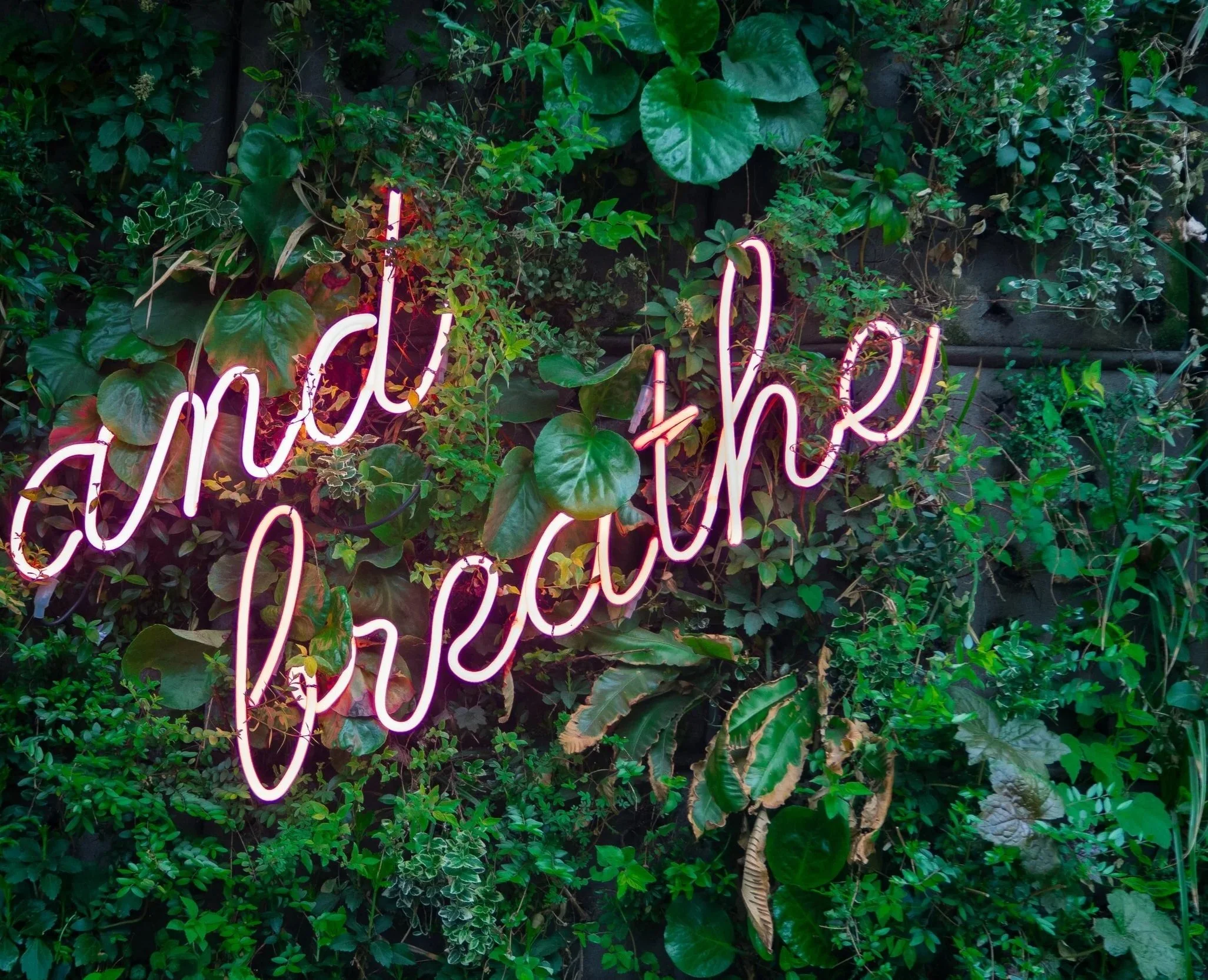 Bright pink neon sign reading 'hello there' mounted on a lush green leafy background.