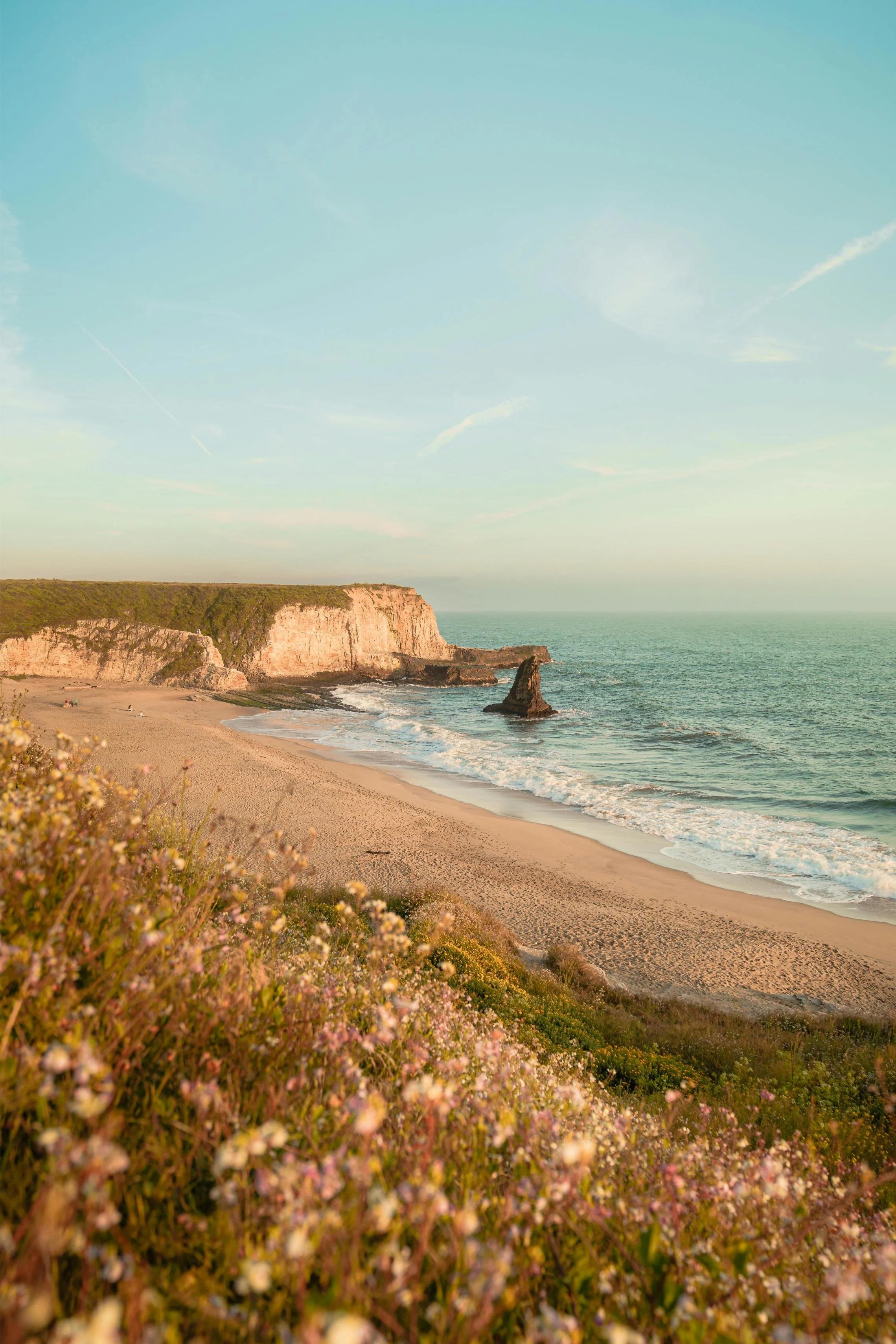 A scenic beach with sandy shoreline, ocean waves, white cliffs, and flowering shrubs in the foreground during sunset.