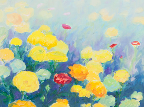 Ranunculus.jpg