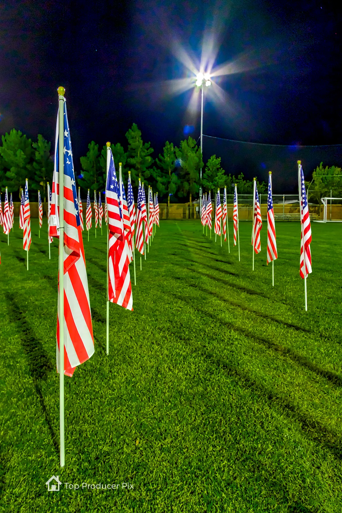 161107-1000 flags 2016-0035-edit-TPPWEB.jpg