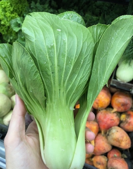 Baby Bok Choy