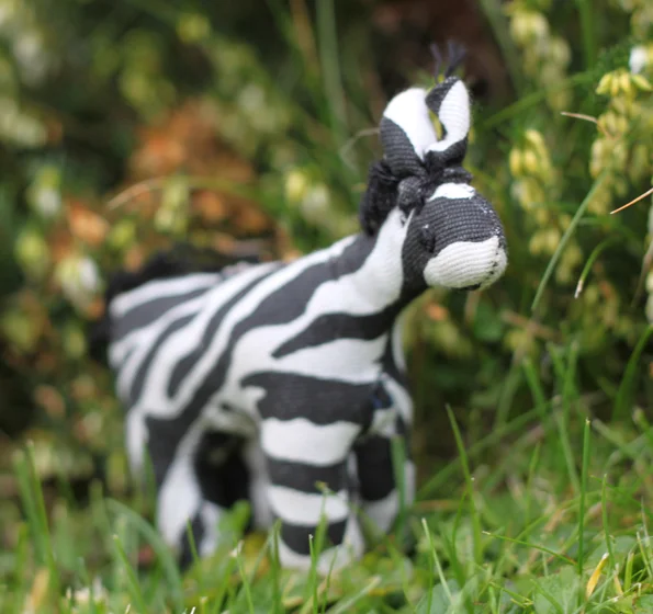 Z is (zillions of ) Zebra sewing workshops....