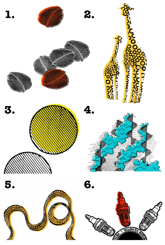 Poll: vote for your favourite t-shirt designs