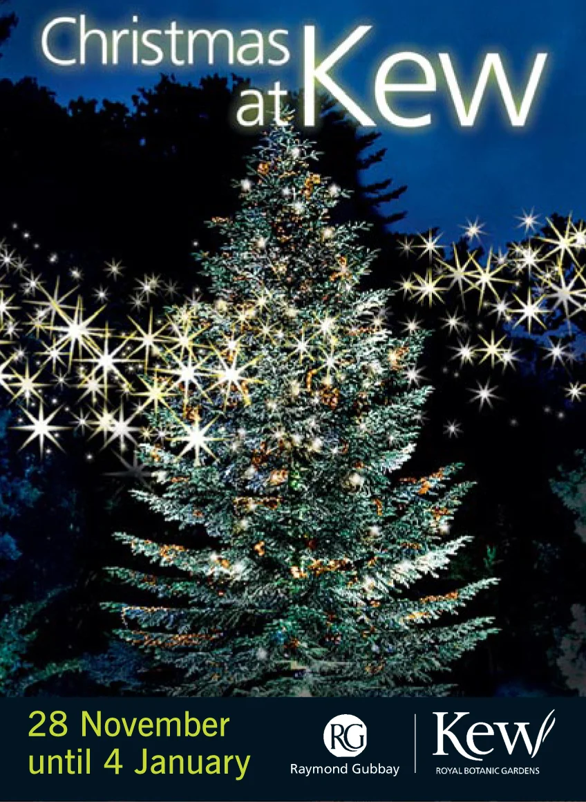 awamu at Kew Christmas fair 