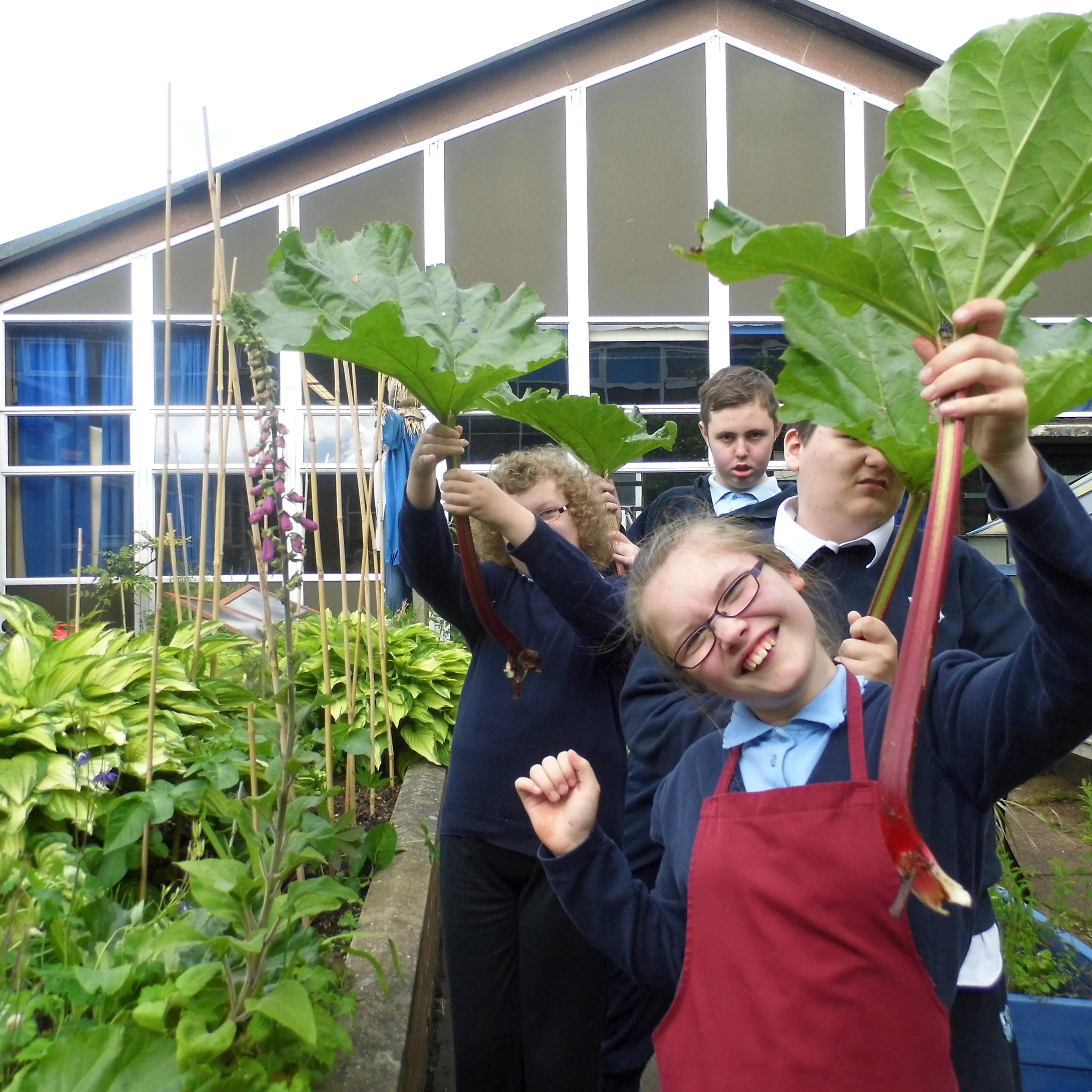 Kilpatrick School: Inspired by working with awamu