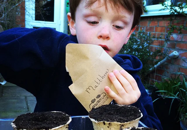 sunflower challenge: the week in pictures