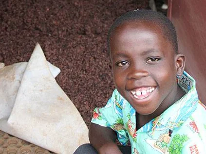 The magic of mushrooms