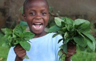 Community food gardens are go!