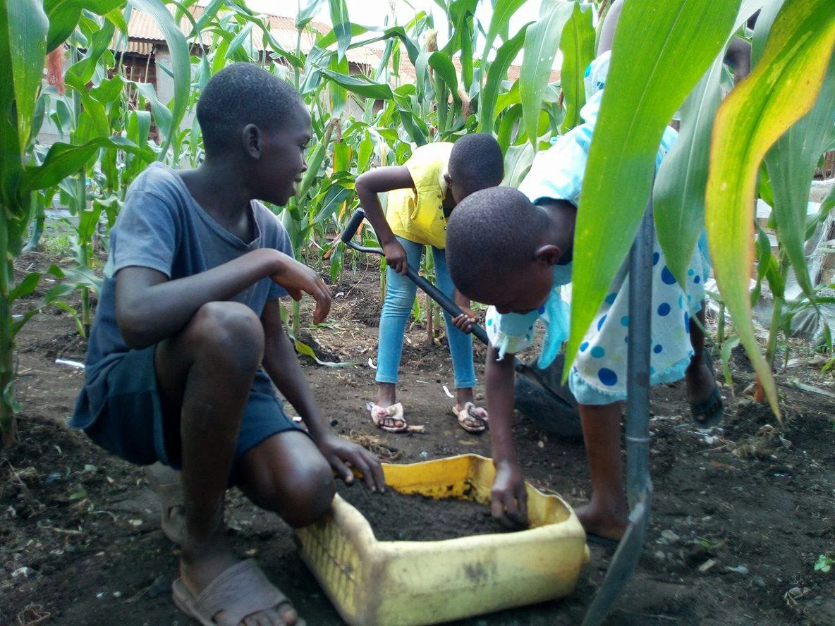 Saturday morning gardening club, Bwaise