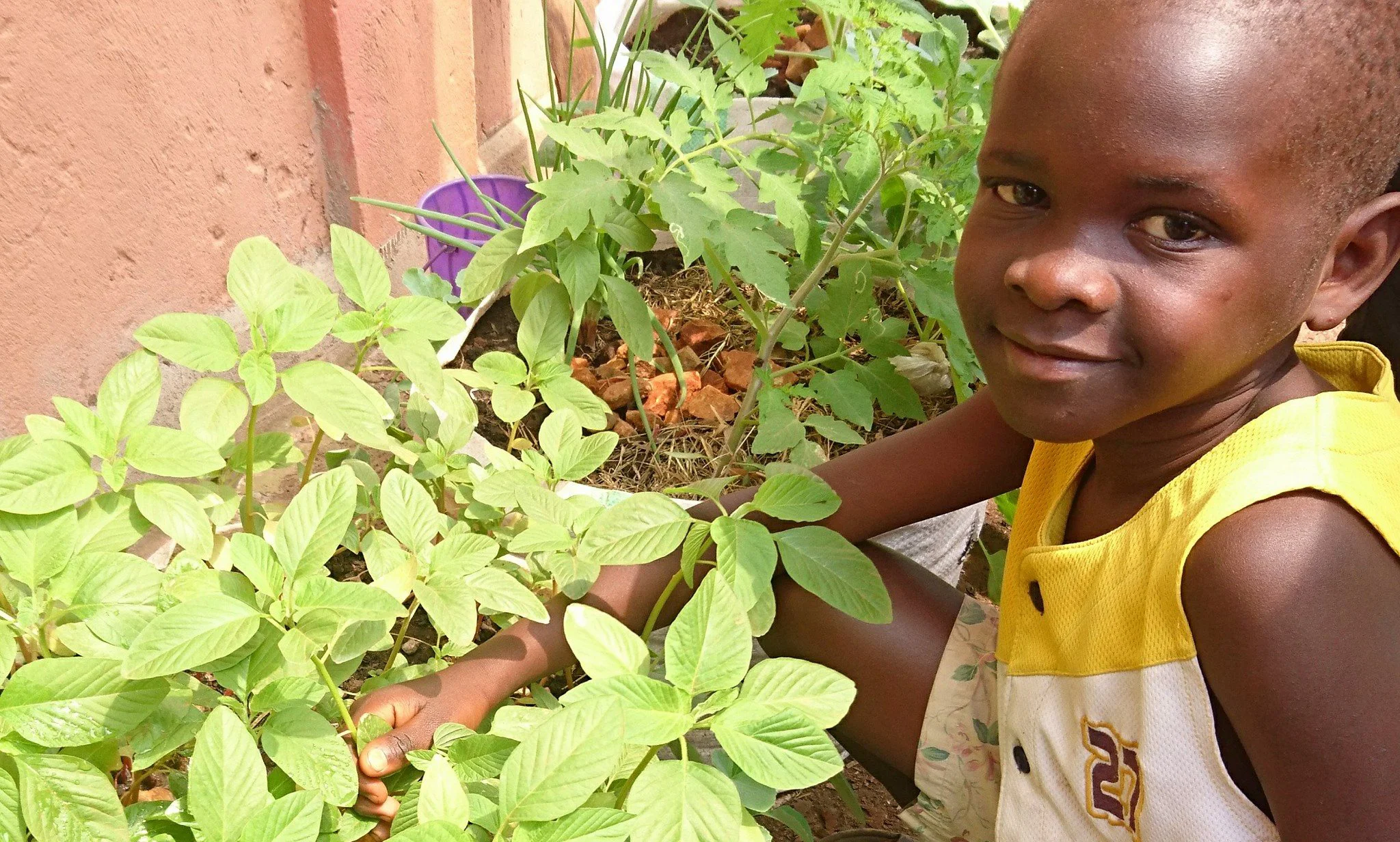Awamu gardening club in Makerere