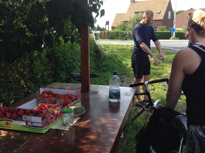 stopping-for-strawberries-on-the-north-sea-cycling-route-awamu.co_.uk_.jpg