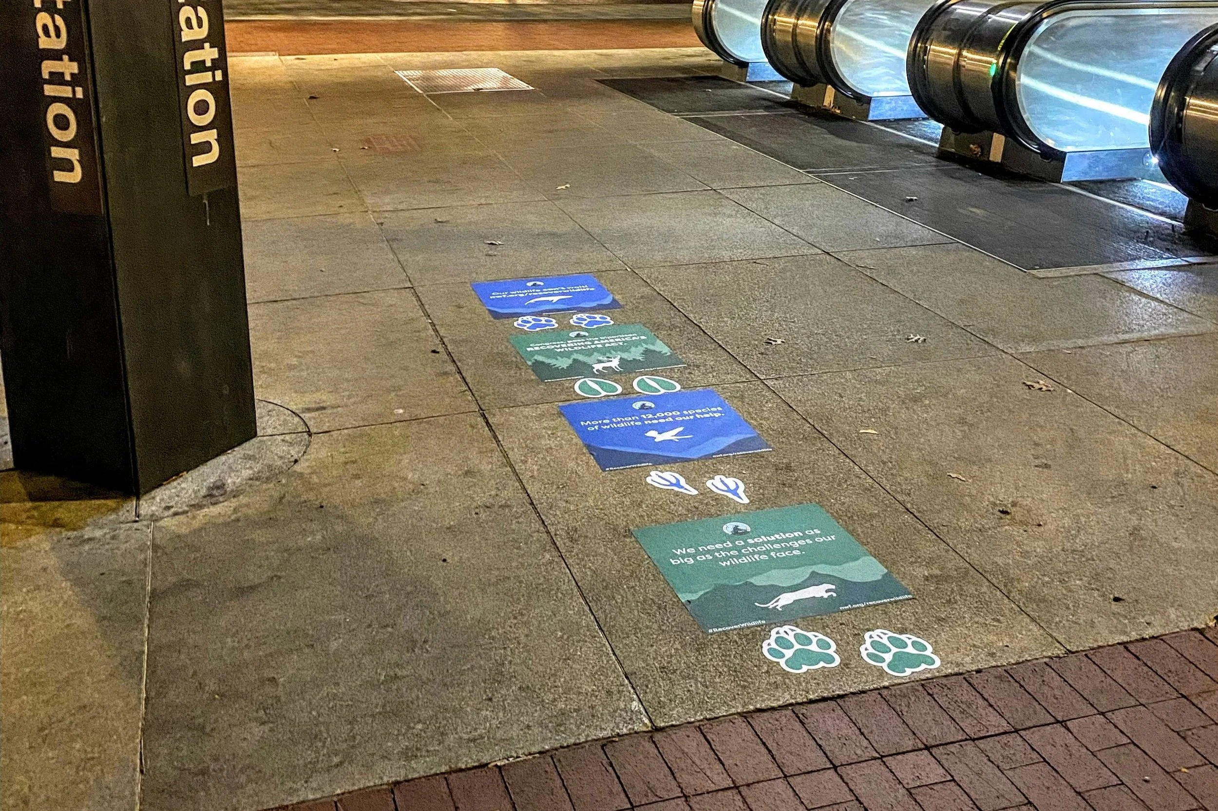 THE NATIONAL WILDLIFE FEDERATION BRINGS ATTENTION TO DC WITH FOOTPRINT SIDEWALK DECALS