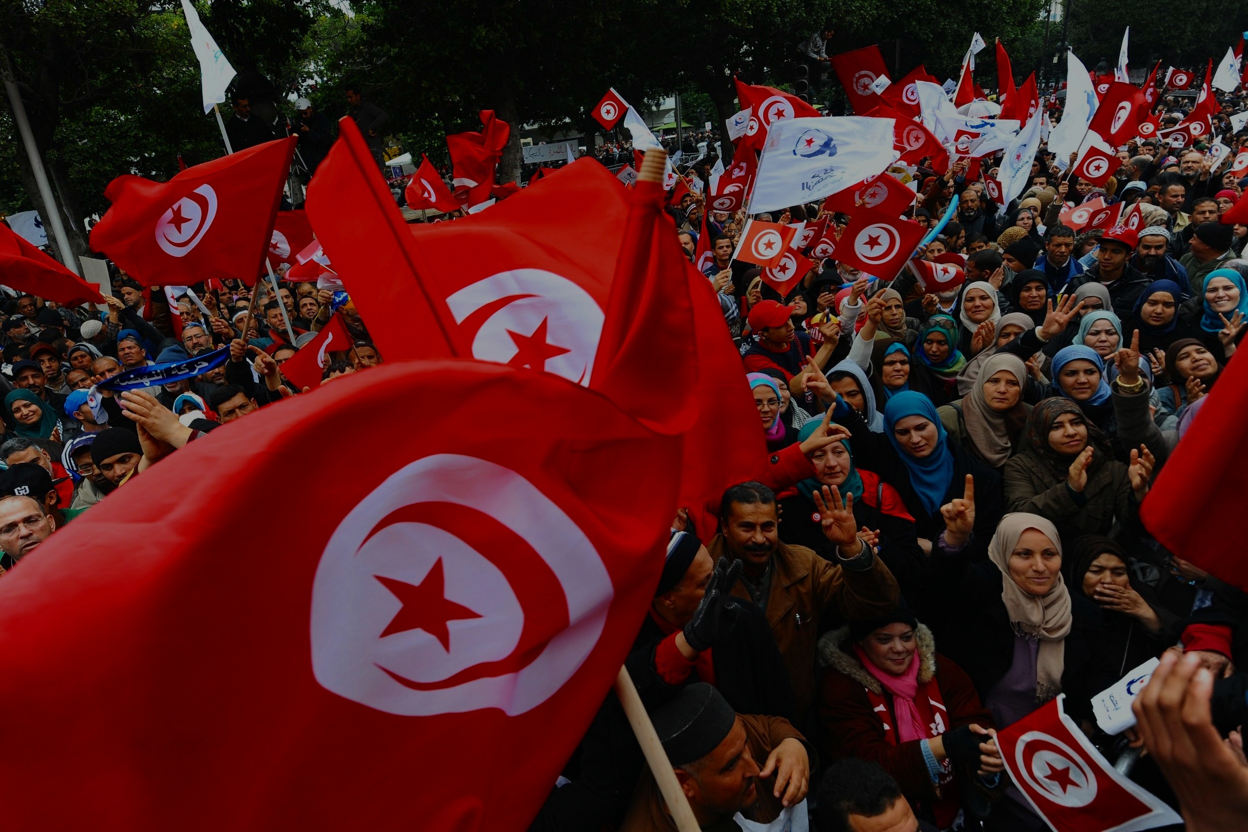 tunisia-democracy-1_slide-89e8139ea7a927d859d78940e2d38c0c4e66996c.jpg