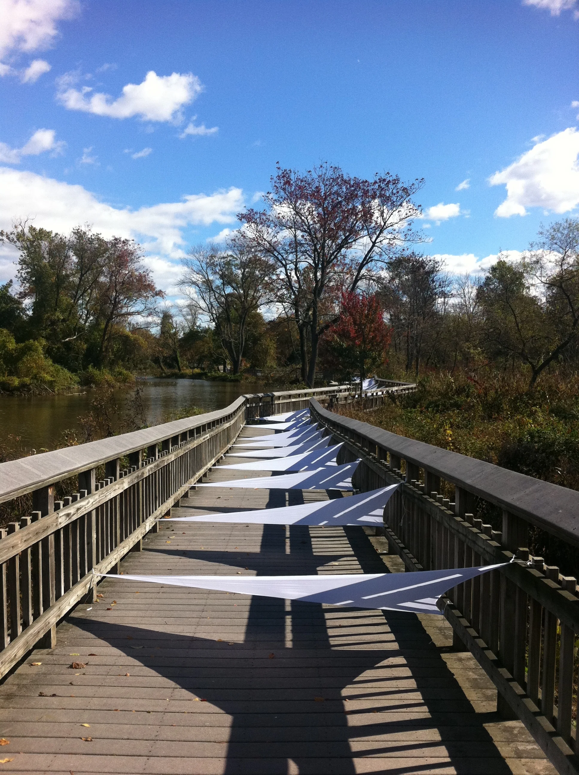 Aquatic Garden_Installation.JPG