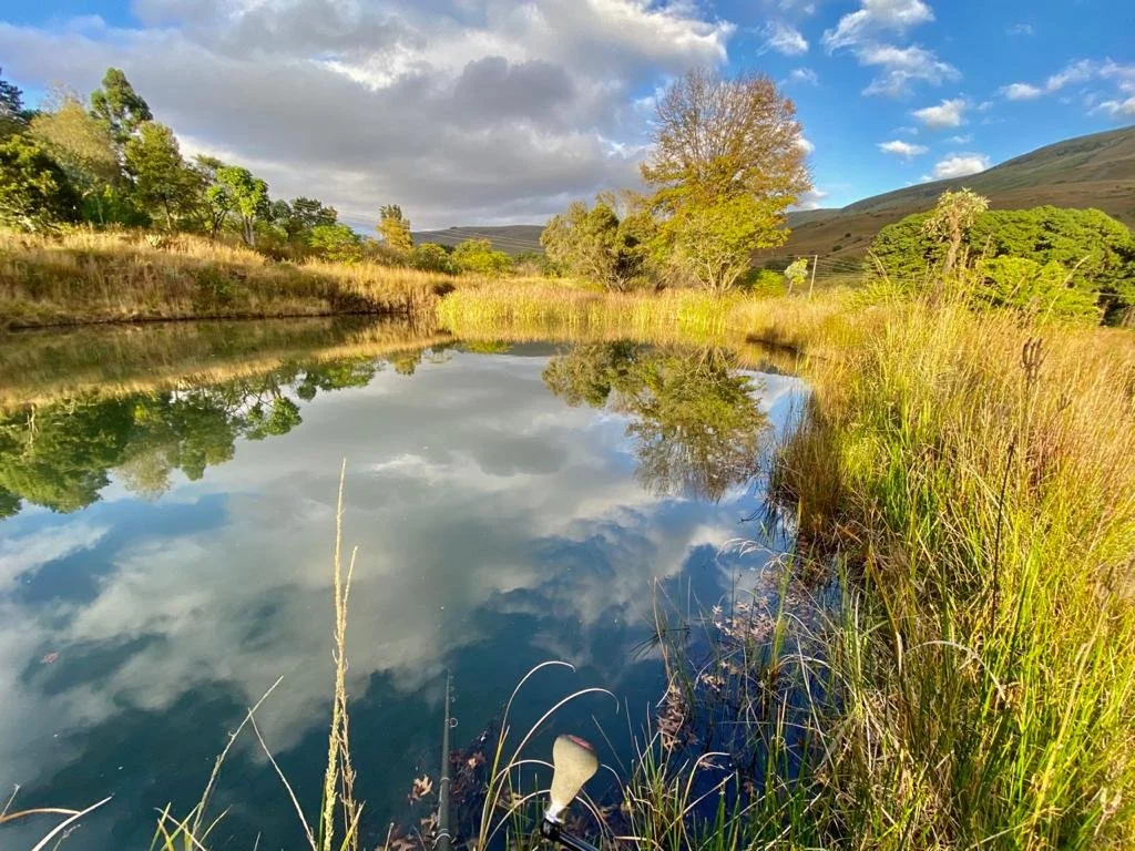 WhatsApp Image 2021-04-20 at 09.02.00.jpeg