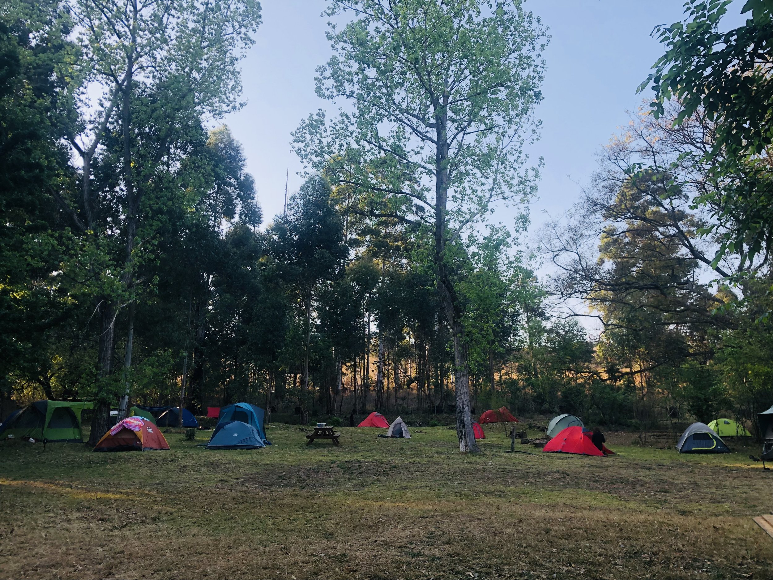 Campsite - many colorful tents.jpg