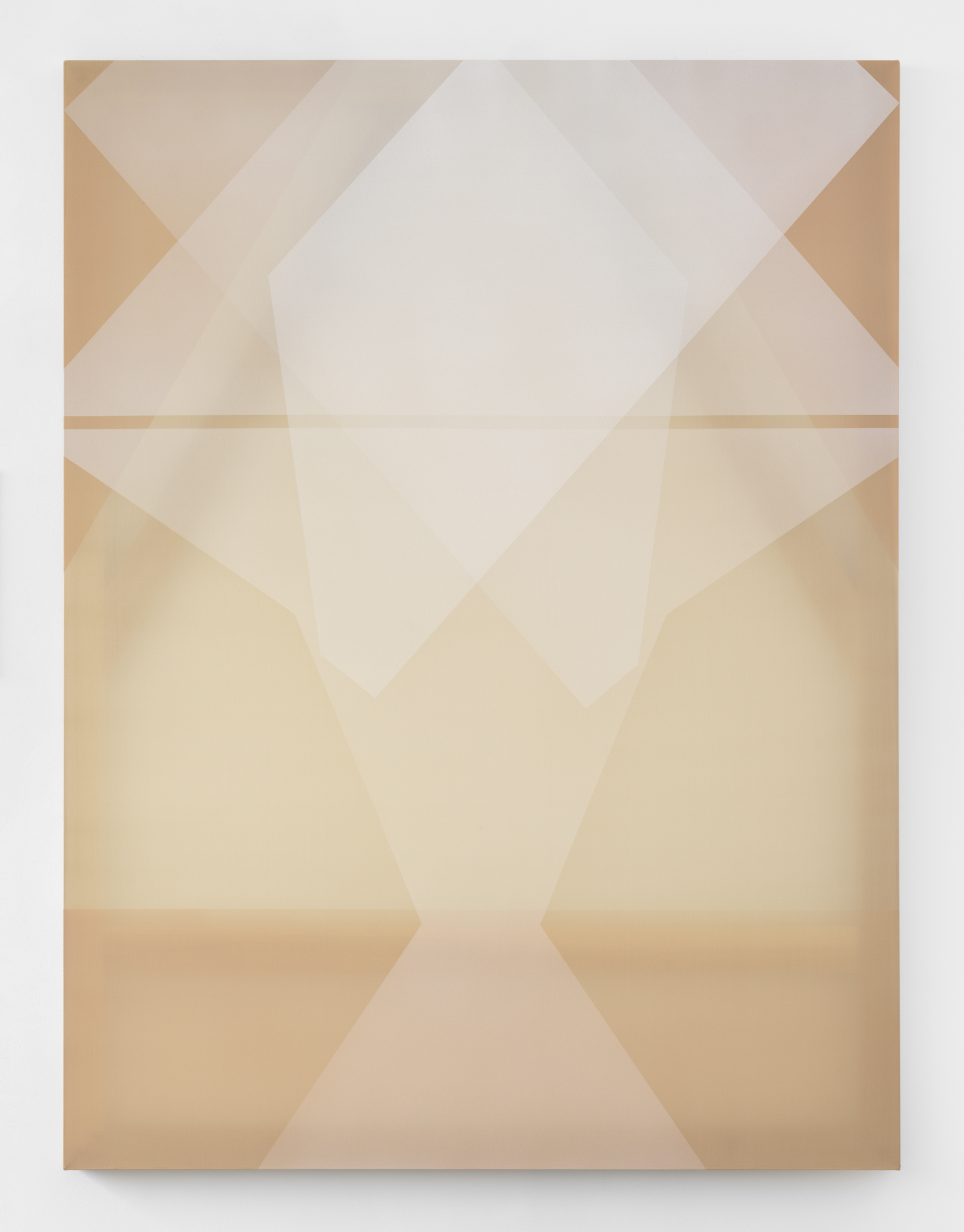   white morph  2018 acrylic on silk 60 in x 45 in  