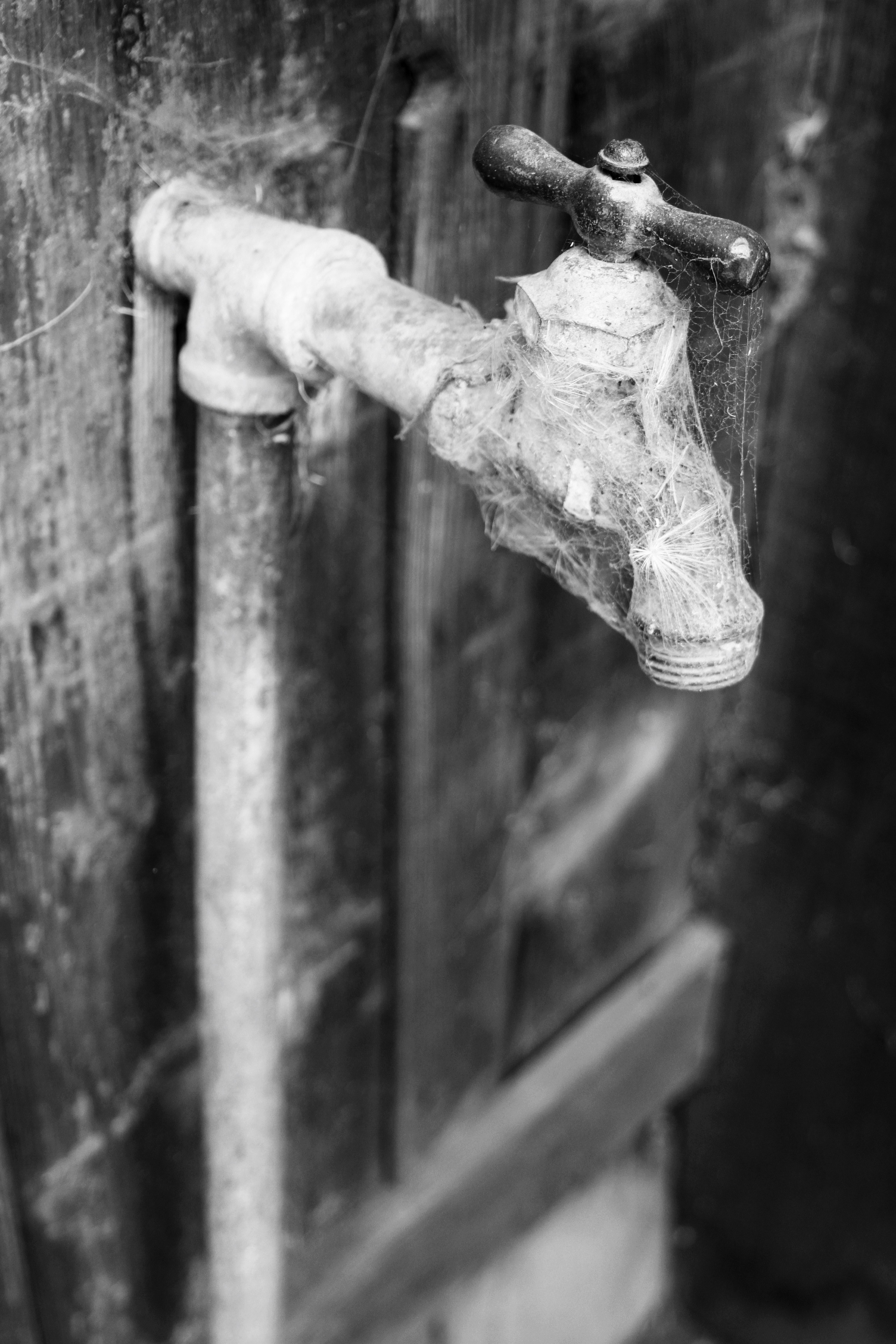 Boiler Maker 017.jpg