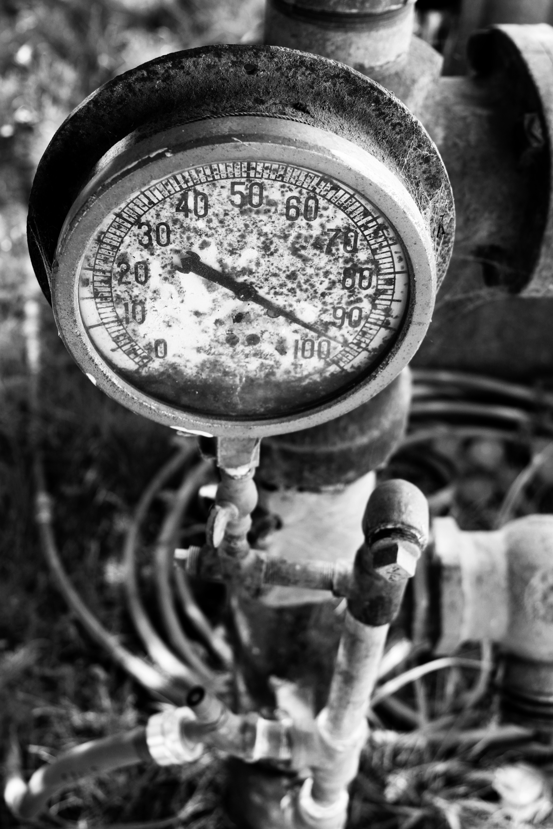 Boiler Maker 023.jpg