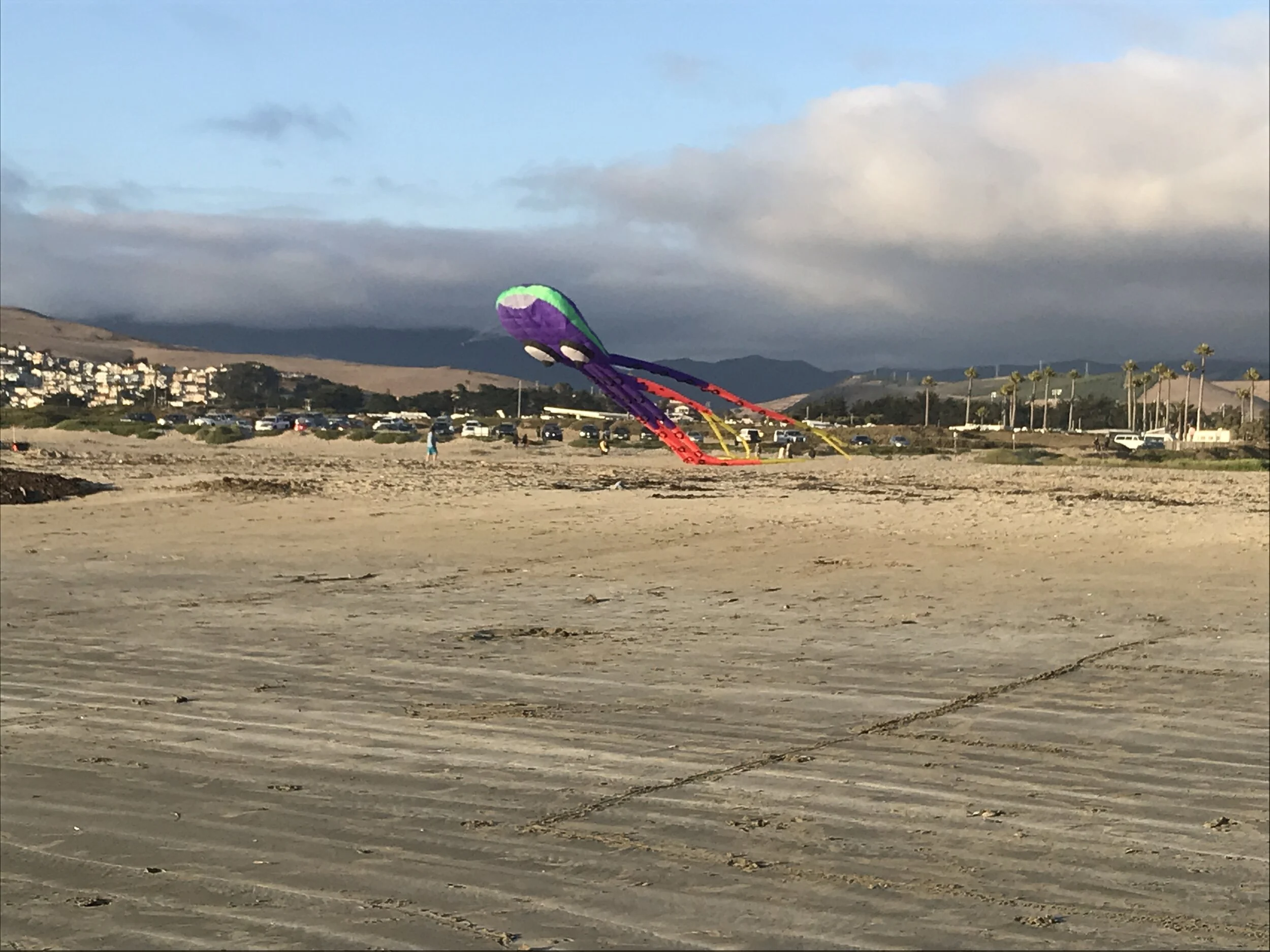 Low Tide Groovin'