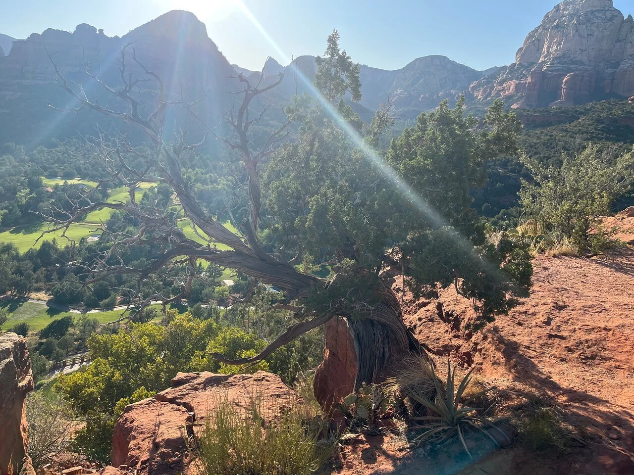 Discover the Power of Vortex Healing in Scottsdale