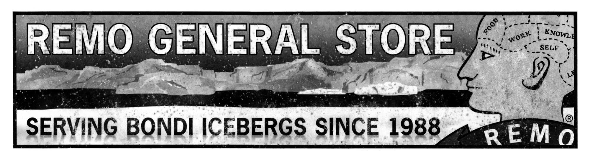 RGS_IcebergsBanner_2000.jpg