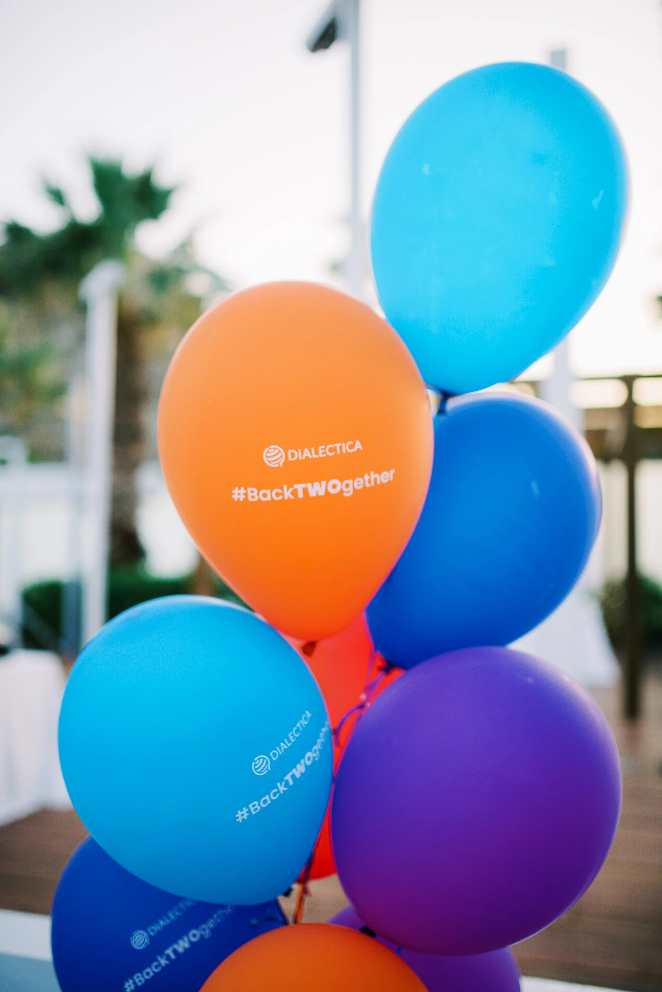 harisbphoto (78).jpg